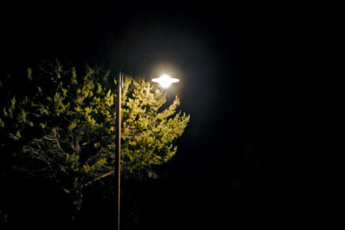 lamp
